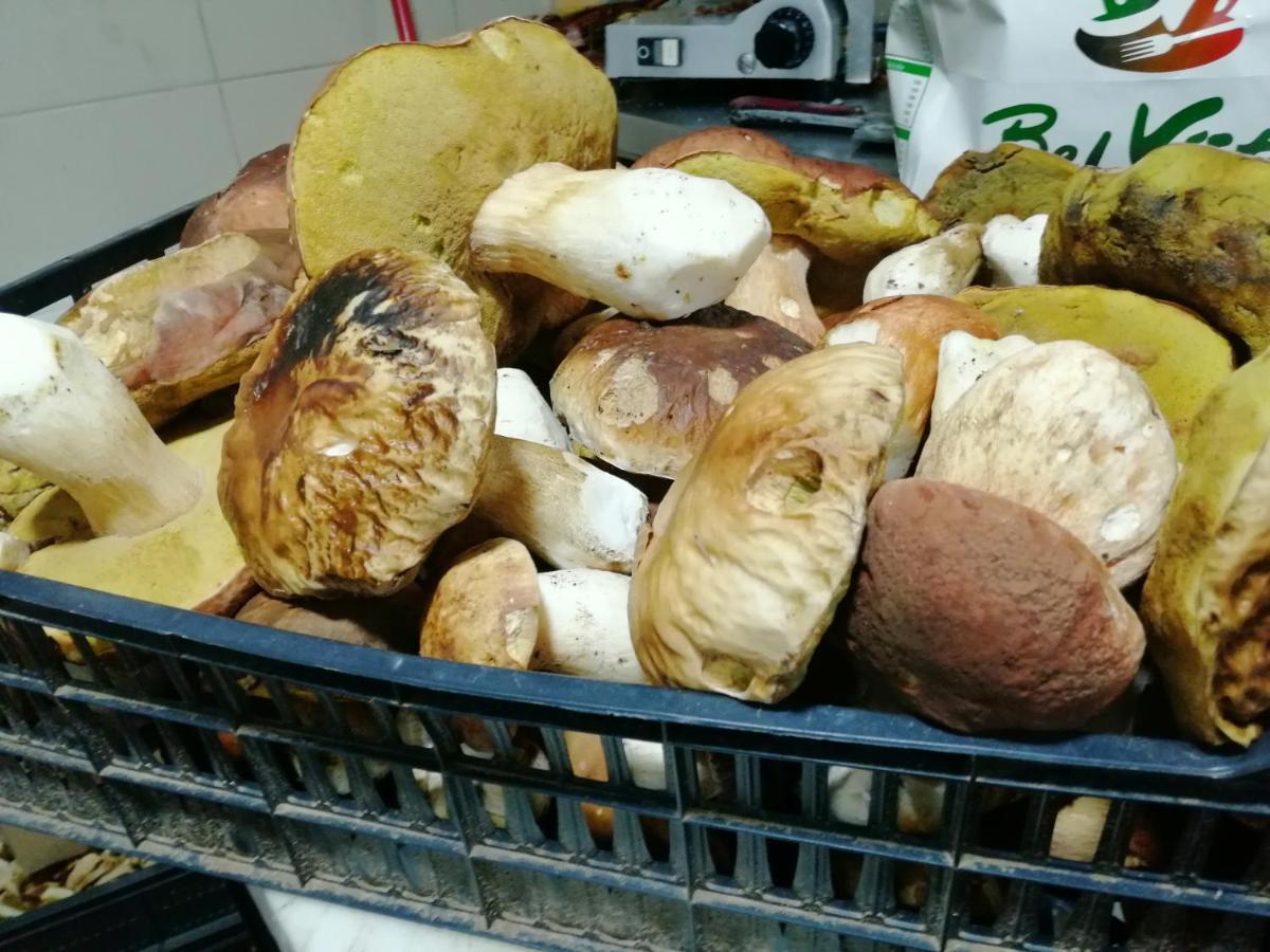 Etno Selo Lelic Panzió Valjevo Kültér fotó