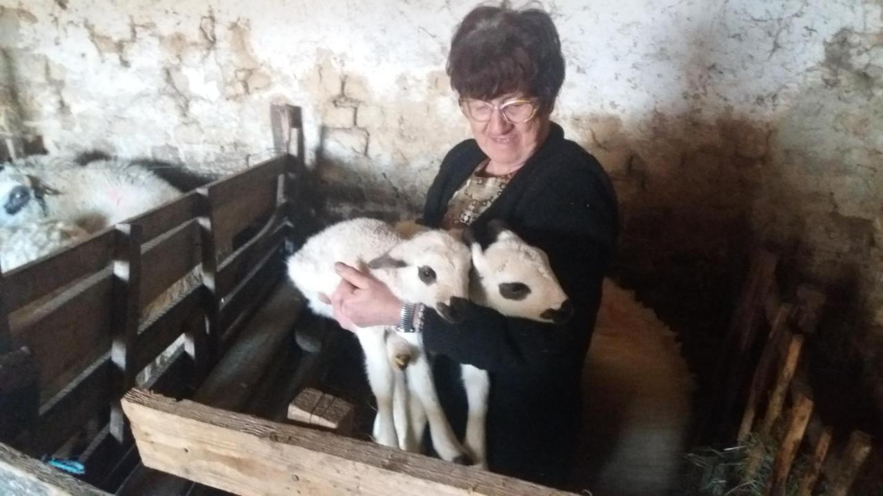 Etno Selo Lelic Panzió Valjevo Kültér fotó